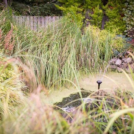 הוילה אינברנס Calm Scottish Country Escape With Hot Tub Sleeps 6 מראה חיצוני תמונה
